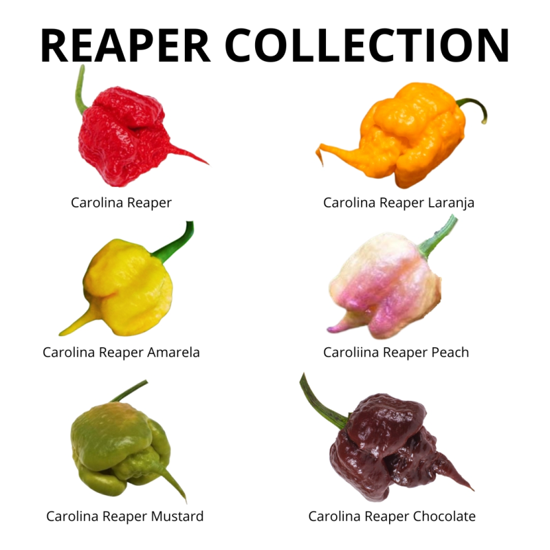 Pack Carolina Reaper – 6 Variedades de Sementes | Picantes.pt