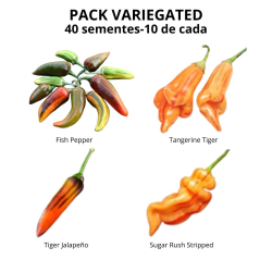 PACK Riscas 4 Variedades: Sugar Rush, Tangerine, Jalapeño e Fish Pepper