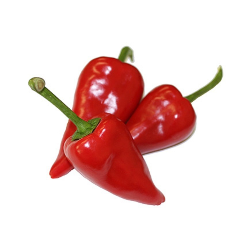 Pimento Piquillo 10 seeds
