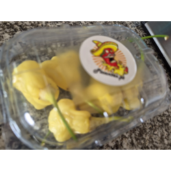Aji Fantasy White FRESCA 50 gr.
