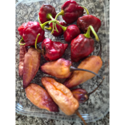 Aji Pineapple FRESCA 50 gr.