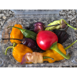 Chiles Frescos Variados 50 g | Picantes.pt