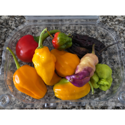 Variadas FRESCA 50gr.