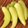 Banana Heirloom 10 sementes