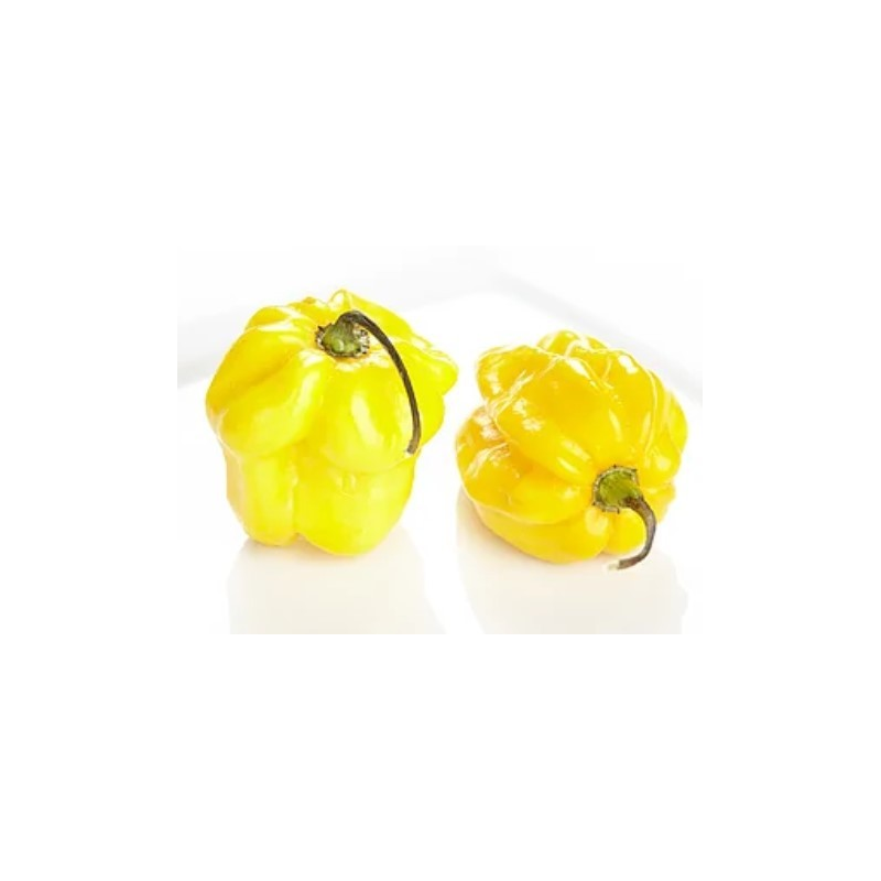 Habanero Amarelo
