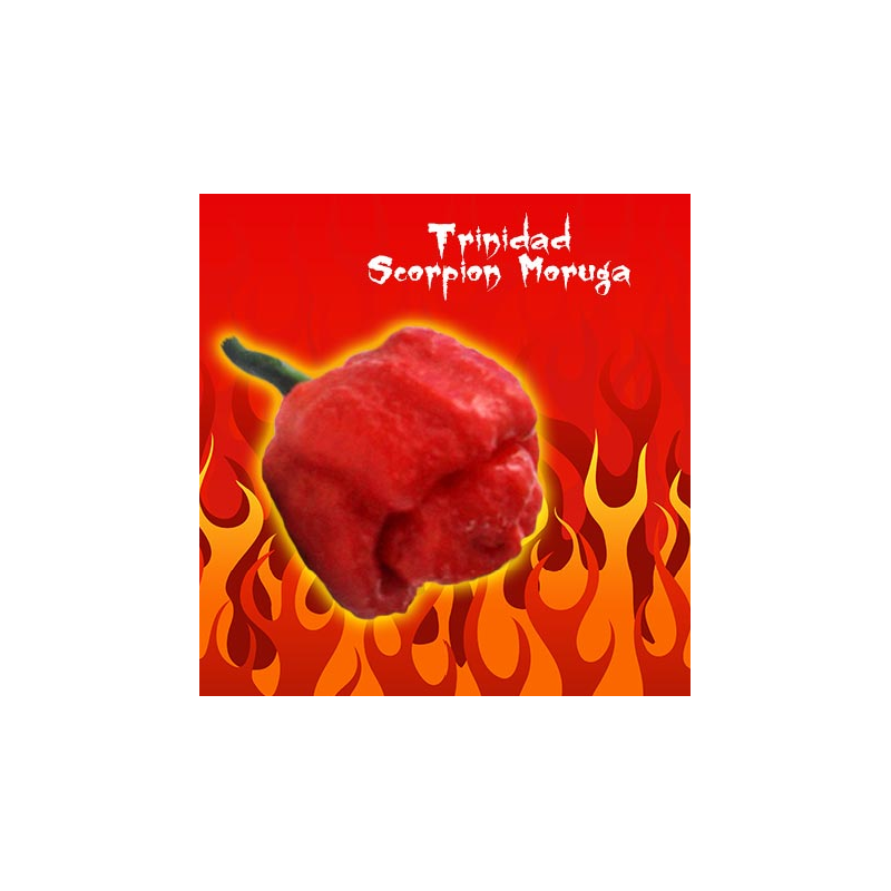 Trinidad Moruga Scorpion