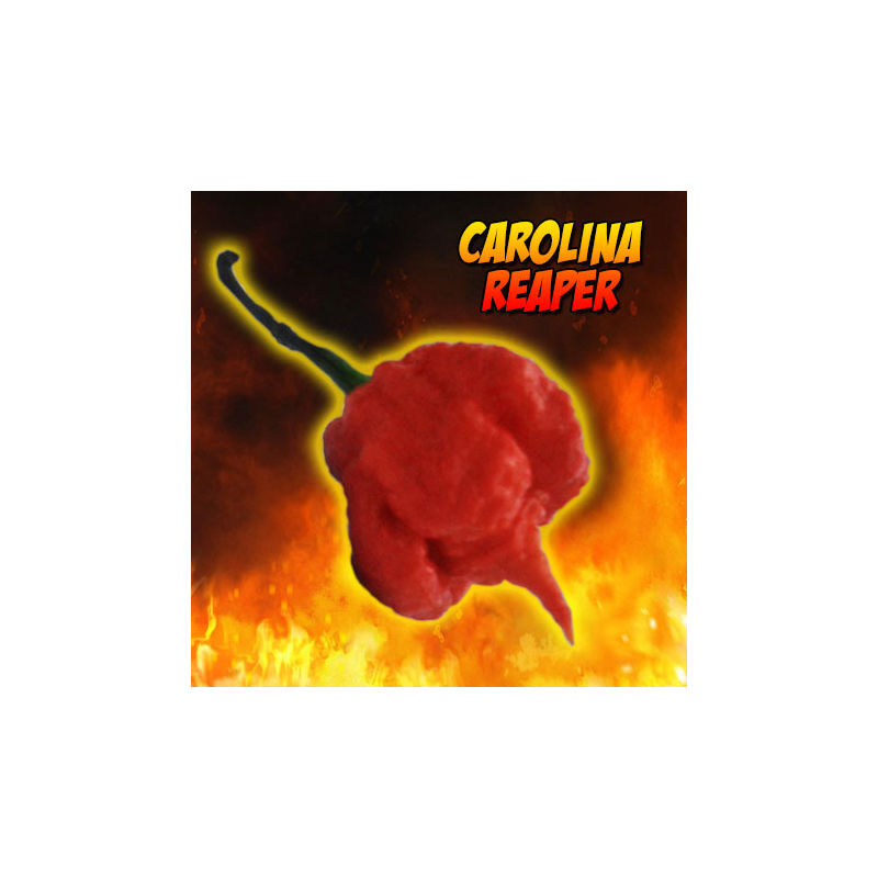 Carolina Reaper nasion Carolina Reaper nasion