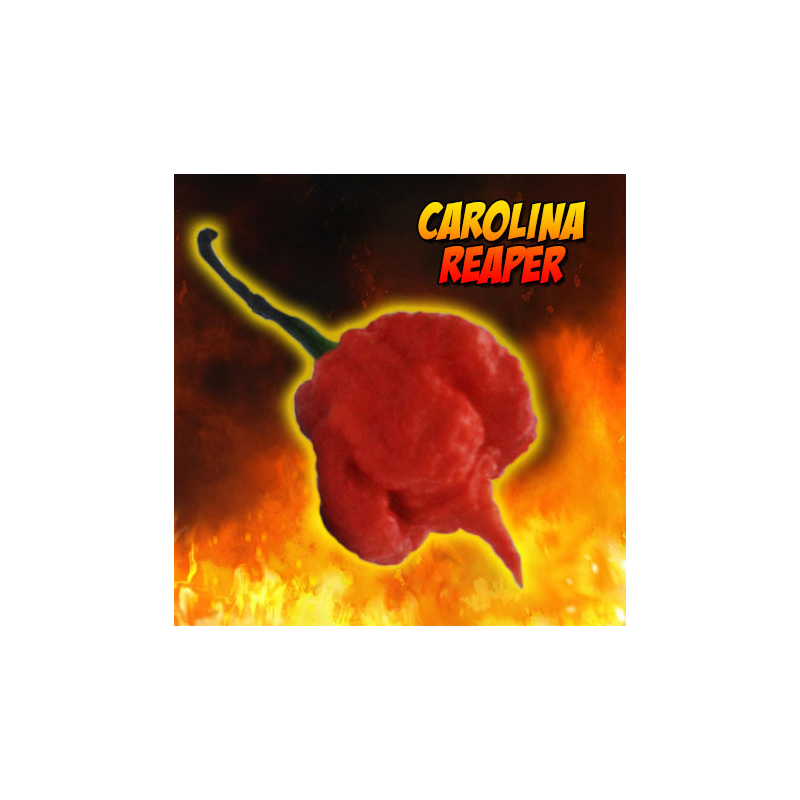 Carolina Reaper - Pack of 10 selected seeds, with sticker identifying the species, origin and SHU.