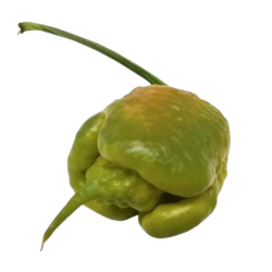 Carolina Reaper Mostarda