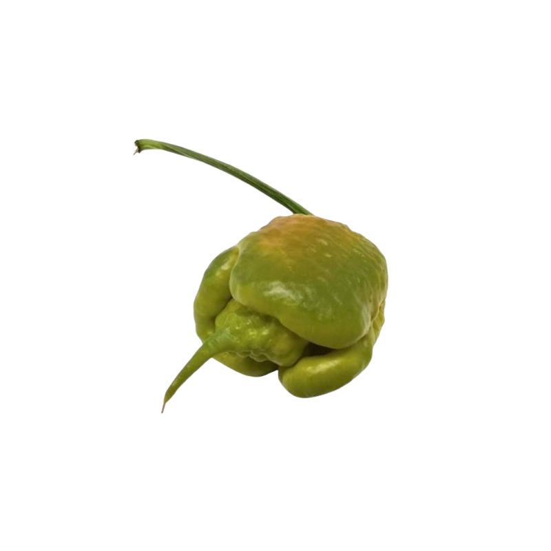 Carolina Reaper Mostarda