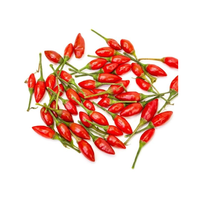 Piri-piri Sacana (Birdeye) Malaguetinha Piri-piri Sacana (Birdeye) Malaguetinha
