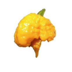 Carolina Reaper Amarela