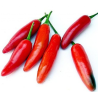 Serrano