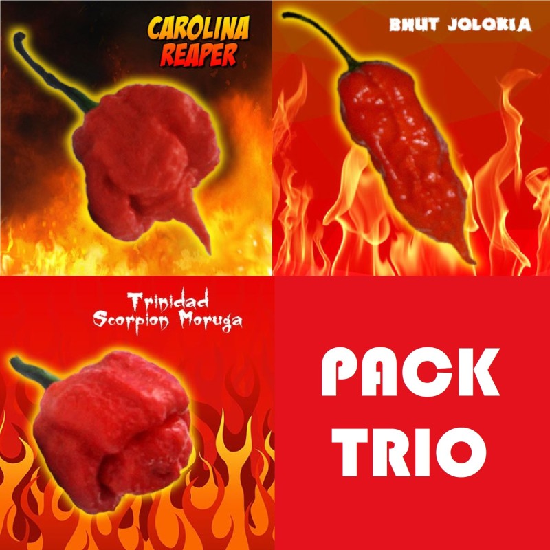 PACK II  Trio Carolina Reaper, Scorpion e Jolokia 30 sementes