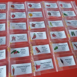 Pack de 30 malaguetas 300 sementes Carolina Reaper Moruga Scorpion Bhut Jolokia Pacote de 30 variedades de malaguetas