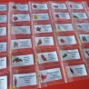 Pack de 30 malaguetas 300 sementes Carolina Reaper Moruga Scorpion Bhut Jolokia Pacote de 30 variedades de malaguetas