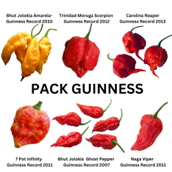 PACK III  6 GUINNESS...