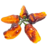 Puma Hot Pepper