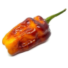 Puma Hot Pepper