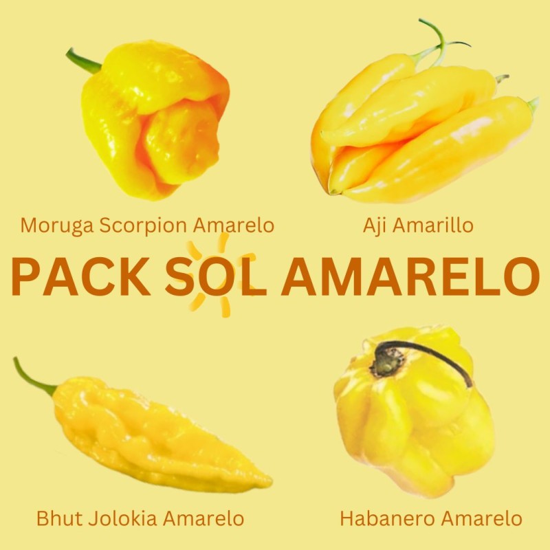 PACK Pôr do Sol: Trinidad Scorpion Amarela, Jolokia Amarela, Habanero Amarelo, Aji Amarillo