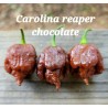 Carolina Reaper Chocolate 10 sementes