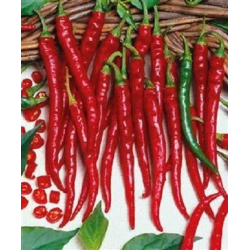 Cayenne Slim