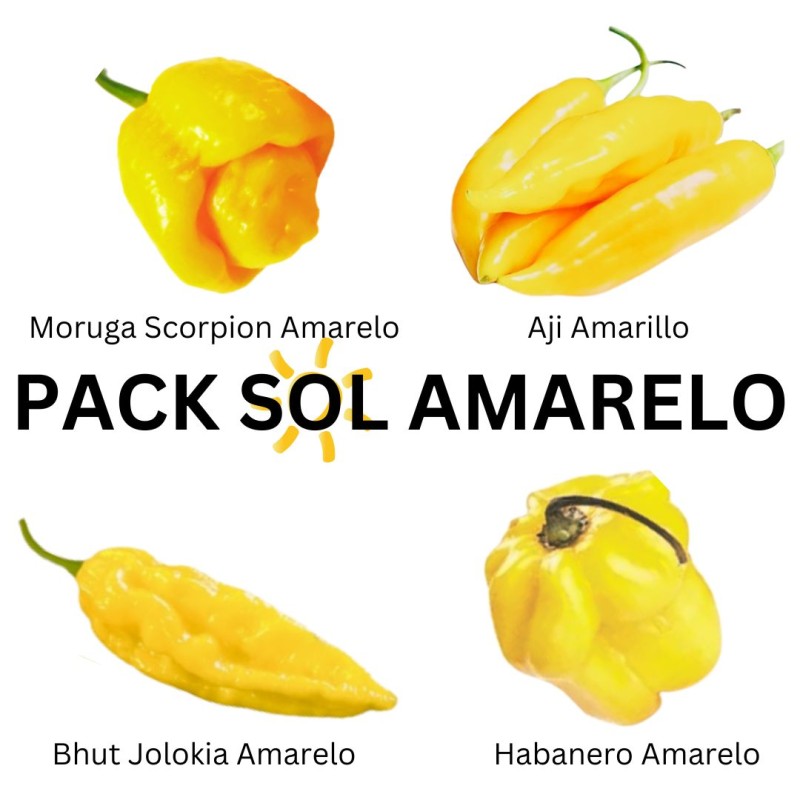 PACK Pôr do Sol: Trinidad Scorpion Amarela, Jolokia Amarela, Habanero Amarelo, Aji Amarillo