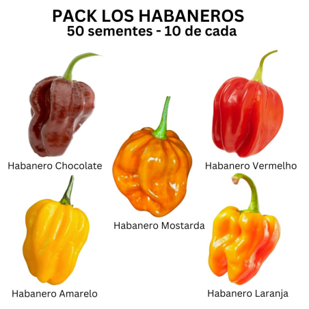 Habanero sementes 5 Cores Chocolate, Amarelo, Laranja & Vermelho Mostarda