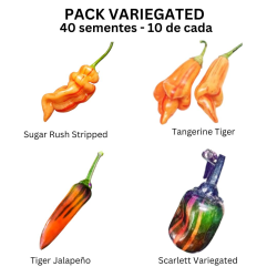 copy of PACK VI  Habanero 4...