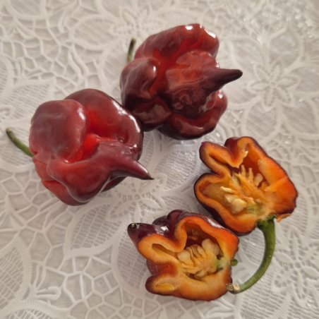 Carolina Reaper Ruby 10 sementes