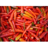 Portuguese Chili 10 seeds