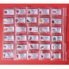 PACK V  30 Hot Peppers 300 seeds 10 each