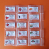 Pack de 16 malaguetas 160 sementes Carolina Reaper Moruga Scorpion Amarela Bhut Jolokia Pack de 16 variedades de malaguetas