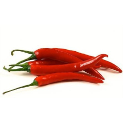 Portuguese Chili 10 seeds