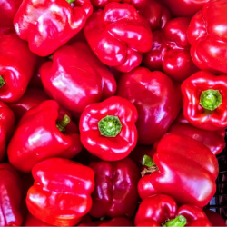 Pimento Vermelho 10 sementes