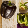 Black Pepper 20 seeds
