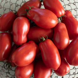 Tomates S. Marzano 2 sementes