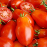 Tomate Roma VF