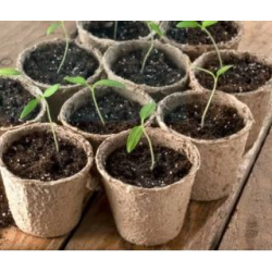 12x 6 cm Growing Pots