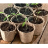 12x 6 cm Growing Pots