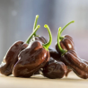 Chocolate Habanero Seeds - 10 Seeds | 450,000 SHU Black Habanero