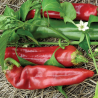 Big Jim Giant Pepper Seeds - 10 Seeds | World's Largest Chili