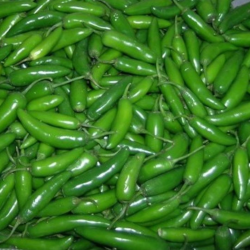 Serrano 10 sementes