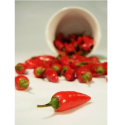 Jindungo 10 seeds