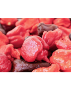 Pimientos y chiles frescos
