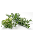 Découvrez la sélection d'herbes aromatiques sur Picantes.pt