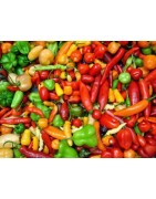 Kit 20 species Chilli Peppers 200 seeds