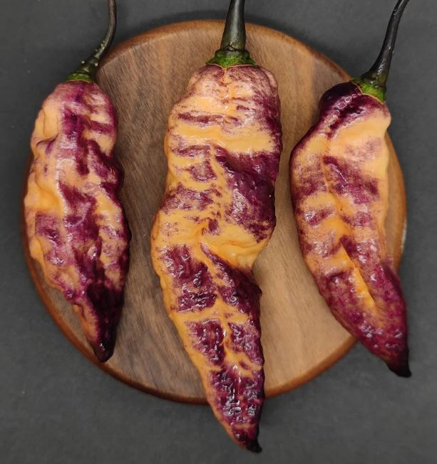 As 20 Pimentas Mais Ardidas do Mundo